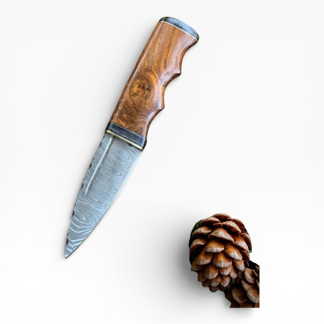 Knife with wooden handle and metal blade next to a pine cone on a white background